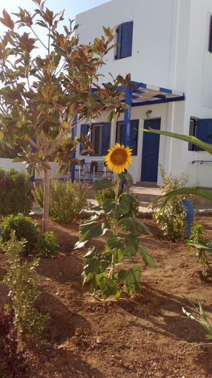 Ninemia Studios Serifos Island Zewnętrze zdjęcie